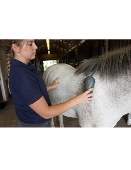 Kit de aseo para Caballos Oster®. precio Paraguay. Venta mayorista. Veterinaria. Animales